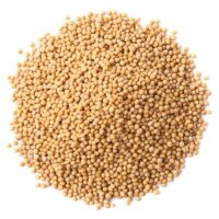 Mustard Seeds